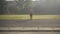 Extreme wide shot of sportive Caucasian sportsman jumping rope in sunlight. Portrait of athletic young man training in