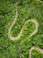 Extreme winding road in the mountains