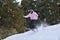 Extreme Winter Sports: Skier Takes on Gravity with Freestyle Skiing Skills. Skier Executes a Perfect Jump with Ease