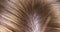 extremely close-up, detailed. parting hair with a comb