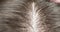 extremely close-up, detailed. parting hair with a comb