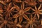 Extremely close up on a pile of anise stars. Macro.