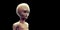 Extremely detailed and realistic high resolution 3D illustration of an extraterrestrial grey Alien. Shot on black background.