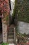 Extremely narrow walkway and stairs between two detached garages, ivy wall covering