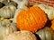 Extremely warty orange pumpkin on pile with pale Cinderella pumpkins against brick wall