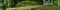 Extremely Wide Panorama of Deep Forests Path.