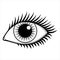 Extrinsic Muscles Eye, Human Eyeball. Flat Vector Icon illustration.