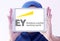 Ey sevices company logo