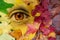 Eye in a background of autumul leaves. Earth, environment, living nature personification concept.