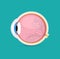 Eye ball vector retina closeup side view isolated icon. Round Eyeball 3d anatomy illustration object human icon