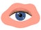 Eye with black long eyelashes. Woman makeup. Editable line. Vector illustration