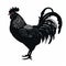 Eye-catching Black Rooster Illustration On White Background