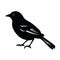 Eye-catching Black And White Bird Silhouette Graphic Design