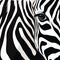 Eye-catching Black And White Zebra Head Vector Illustration