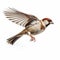 Eye-catching Colored Bird Flying In Dark Red And Light Beige