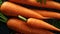 Eye-catching Detail: Fresh Carrots With Water Drops On Black Background