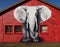 Eye-catching image of an elephant on a red wall