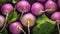 Eye-catching Purple Radishes With Water Droplets - Stunning Composition By Adonna Khare