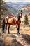 The Eye Catching Story of Wild Horses on Watercolor Canvas