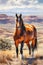 The Eye Catching Story of Wild Horses on Watercolor Canvas