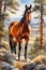 The Eye Catching Story of Wild Horses on Watercolor Canvas