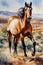 The Eye Catching Story of Wild Horses on Watercolor Canvas