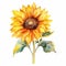 Eye-catching Sunflower Watercolor Floral Clipart In Traditional Oil-painting Style