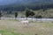 Eye catching view of the magnificent Lidder river and horses grazing by the shore