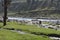 Eye catching view of the magnificent Lidder river and horses grazing by the shore