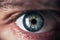 Eye close view. Human eye glance photo background. Emotional look, human face elements