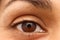 Eye closeup of an Indian woman