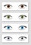 Eye Color Chart Brown Green Blue Gray