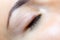 Eye and completed work of permanent eyelid and eyelash makeup