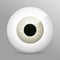 Eye, gray. Realistic 3d grayeyeball vector illustration. Real human iris,pupil and eye sphere. Icon on transparent background.