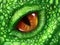 Eye of a green dragon