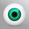 Eye, green. Realistic 3d green eyeball vector illustration. Real human iris,pupil and eye sphere. Icon on transparent background.