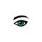 Eye green, vision icon or lady s eye in simple design on an isolated background. EPS 10 vector