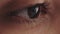 eye health vision correction macro open brown iris