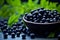 Eye-Healthy Blueberry Supplement. Fresh Blueberries in a Black Bowl on Green Background