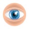 Eye Human Facial Organ With Contact Lenses Vector