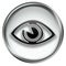 Eye icon grey