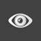 Eye icon, human eye symbol