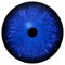 Eye iris generated