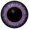 Eye iris generated