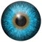 Eye iris generated hires texture