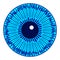 Eye iris icon
