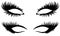 Eye lashes vector. Beautiful black long eyelashes.