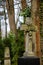 Eye-level  vertical shot of a cross-shaped mossy gravestone in a cemetery
