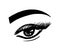 Eye logo. makeup vector sketch. eyelashes eyebrow - illustration isolated on white background. look - black and white icon