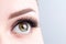 Eye with long eyelashes, beautiful makeup and light brown eyebrow close-up. Eyelash extensions, microblading, tattoo, permanent,